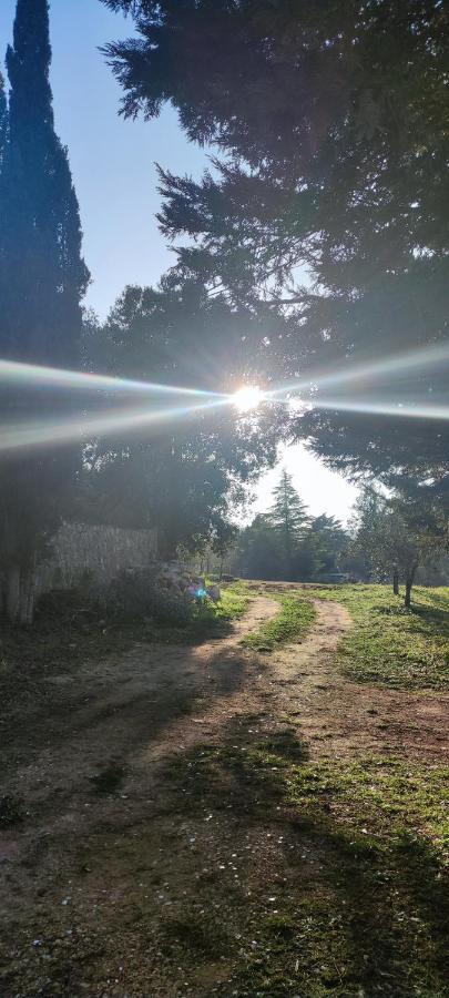 לוקורוטונדו Tenuta Valle Incanto מראה חיצוני תמונה